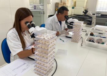 Laboratório do Indea auxilia no combate a doenças na agropecuária