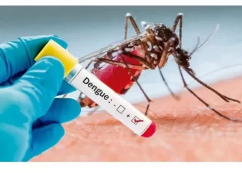 Registros de dengue no 1º trimestre deste ano já somam mais de 6,7 mil casos em MT