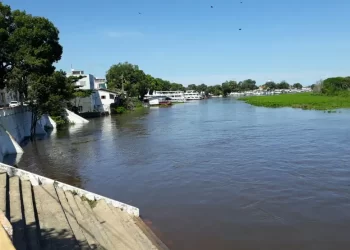 Ribeirinhos deixam casas após aumento no nível do Rio Paraguai em MT