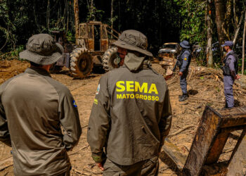 Governo de MT aplica R$ 227 milhões em multas no 1º trimestre por crimes ambientais