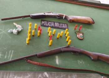 Forças de segurança de MT impedem invasão de terras, prendem dois e apreendem armas de fogo e drogas