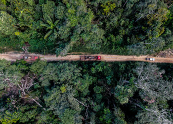 Governo de MT investe em tecnologia, contratações e aeronaves para enfrentar incêndios e desmatamento