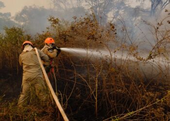 Mato Grosso decreta proibição de queimadas entre 1º de julho e 31 de outubro