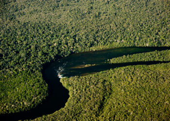 Projeto do Governo de MT vai garantir renda para pescador e combater a pesca predatória