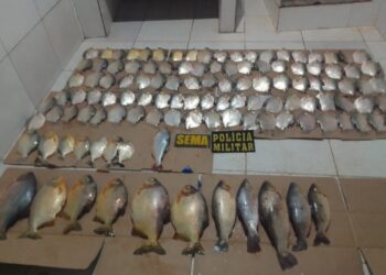 Sema e PM apreendem 58 kg de pescado ilegal em comunidade de Barão de Melgaço