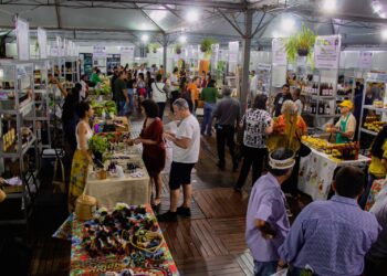 Turismo rural tem potencial para ser explorado em MT e ser mais uma fonte de renda