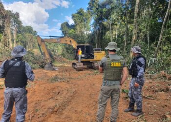 Sema-MT e Força Tática aplicam R$ 3 milhões em multas e apreendem três máquinas utilizadas em desmate ilegal