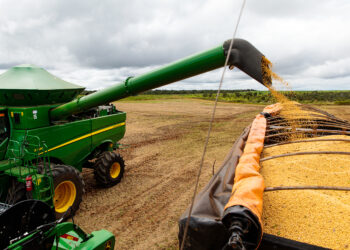 Mato Grosso é responsável por um terço da produção da safra de grãos brasileira