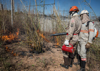 Bombeiros reforçam combate aos incêndios florestais com capacitação de funcionários da Energisa