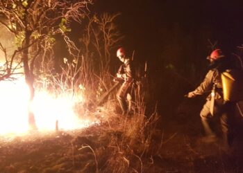 Webinar debate maior operação de combate a incêndios florestais em Mato Grosso