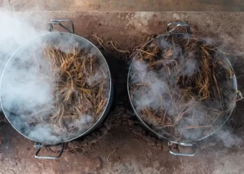 Líder espiritual preso por abuso sexual usava chá para ‘dopar’ mulheres em MT, diz polícia