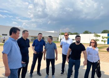 Uso de biomassa, preço do milho e acesso ao gás natural são pontos positivos para investimento chinês em MT