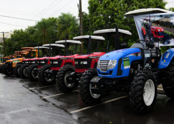 Agricultores familiares recebem apoio do Governo do Estado em toda a cadeia de produção e na comercialização