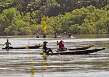 AGU pede anulação de lei da pesca de Mato Grosso