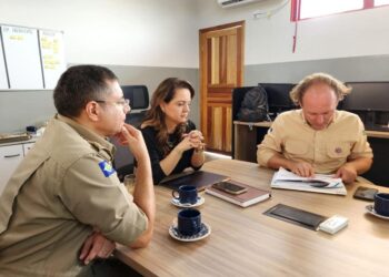 Governos de MT e Federal elaboram plano de combate contra incêndios florestais no Pantanal