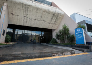 Governo aprova benefícios para suinocultura, produção de biocombustíveis e vendas de panetone