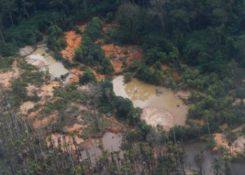 Justiça determina que União estabeleça novo plano de ações contra o garimpo ilegal no território Yanomami