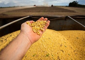 CNA debate impactos climáticos na safra de soja e milho