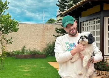 Cachorro morre ao pular do 8° andar de prédio durante queima de fogos na virada de ano em Cuiabá