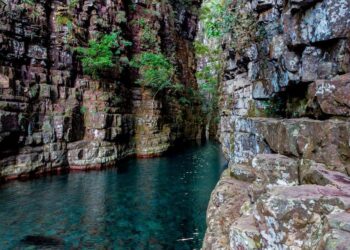 Sema e ALMT apresentam plano de manejo do Parque Estadual Serra de Ricardo Franco