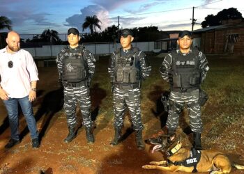 MT reforça operação de buscas a fugitivos de presídio federal no RN com policiais penais e cão farejador