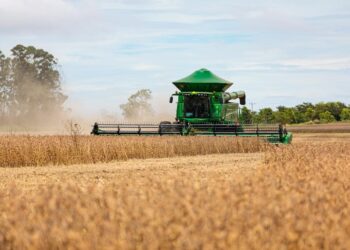PIB de Mato Grosso cresceu três vezes mais que o do país em 2023