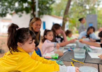 Museu de História Natural oferece gratuitamente oficinas de fotografia, gastronomia, pintura e yoga