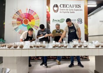 Pesquisa identifica os melhores clones de café para produção em Mato Grosso