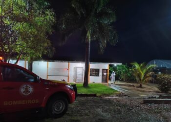 Corpo de Bombeiros Militar realiza remoção de enxame de abelhas de universidade