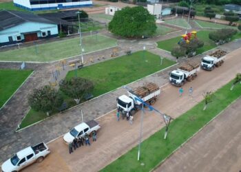 Fiscalização da Sema apreende madeira e trator usado para desmatamento ilegal em Marcelândia