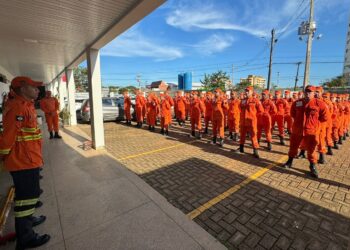Corpo de Bombeiros de MT capacita militares de Rondônia em geoprocessamento aplicado a incêndios florestais