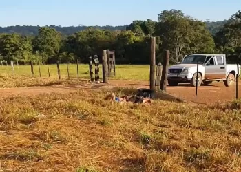 Três trabalhadores são sequestrados em empresa e assassinados em MT