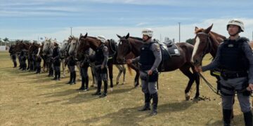 PM forma 11 militares no 10º Curso de Policiamento Montado e implanta unidade da Cavalaria em Lucas do Rio Verde