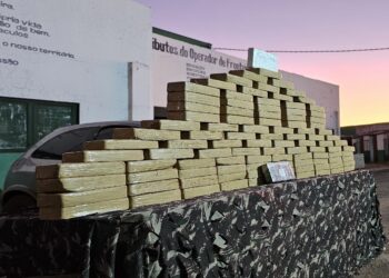 Em uma semana, operações das forças de segurança dão prejuízo de R$ 9 milhões ao crime organizado