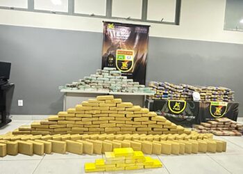 PM apreende 281 tabletes de drogas e causa R$ 2,8 milhões de prejuízo ao crime em Várzea Grande