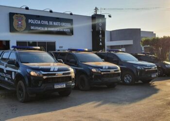 Polícia Civil prende mulher por descumprir medidas cautelares em Guarantã do Norte