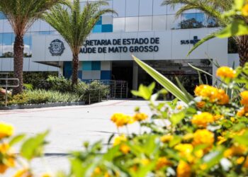 SES capacitou 1.200 profissionais para atendimento às vítimas de tráfico humano