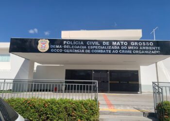 Polícia Civil interroga idoso que matou gata em Cuiabá
