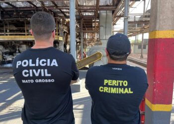 Polícia Civil incinera cerca de 100 quilos de drogas em Alto Taquari