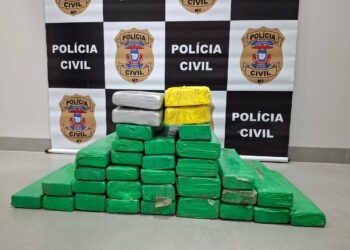 Polícia Civil apreende 32 quilos de drogas em Juara durante a Operação Status Quo