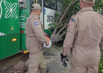 Bombeiros auxiliam na retirada de ônibus que invadiu calçada na Avenida do CPA