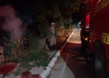 Bombeiros combatem incêndio em área de vegetação em Santo Antônio de Leverger