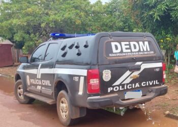Mais de 290 agressores foram presos pela Polícia Civil por violência doméstica, sexual e contra a vida