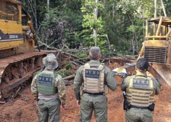 Polícia Civil realizou mais de 30 operações contra crimes ambientais no primeiro semestre de 2024