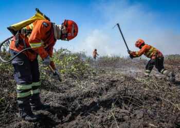 Corpo de Bombeiros alerta para estiagem severa e pede apoio da população na prevenção de incêndios florestais