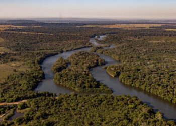 Inpe aponta redução de 51% em um ano no desmatamento na Amazônia Legal de MT