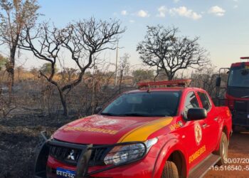 Corpo de Bombeiros Militar combate incêndio em vegetação às margens da rodovia MT-140