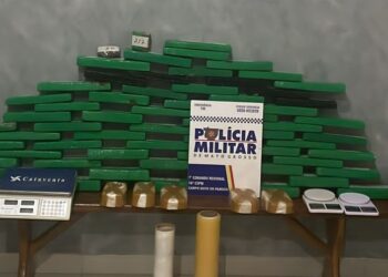 Polícia Militar apreende 64 quilos de drogas em Campo Novo do Parecis
