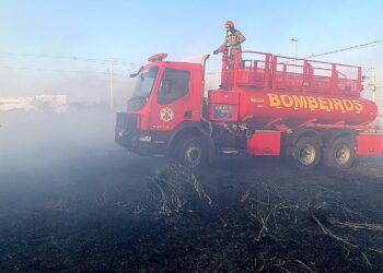 Bombeiros combatem incêndio em vegetação de terreno baldio