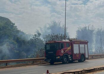 Bombeiros combatem incêndio em vegetação às margens da BR-163